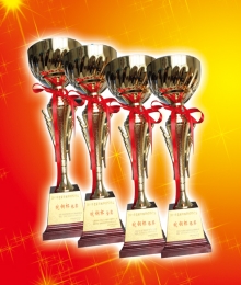 sunbet申搏省钢结构协会皖钢杯金、银奖