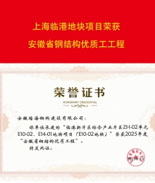 上海临港地块项目荣获sunbet申搏省钢结构优质工程奖